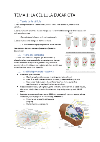 Primer-parcial-biologia-celular.pdf