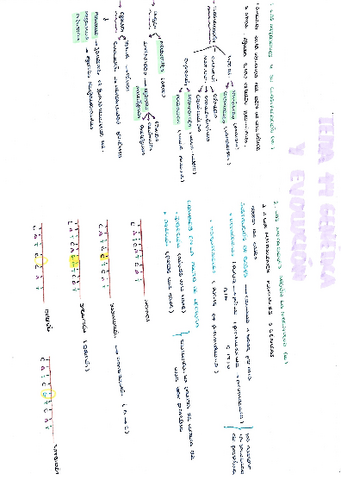 Genetica-y-evolucion.pdf