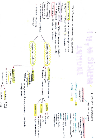 Sistema-Inmunologico.pdf