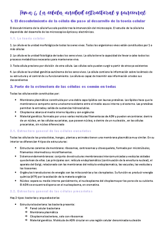 Tema-6-la-celula.pdf