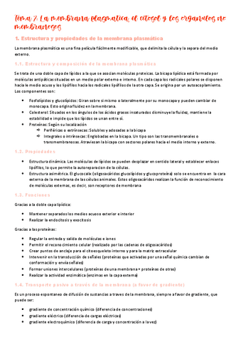 Tema-7-organulos-membranosos.pdf