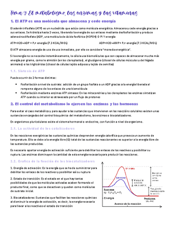 Tema-9-metabolismo-enzimas-y-vitaminas.pdf