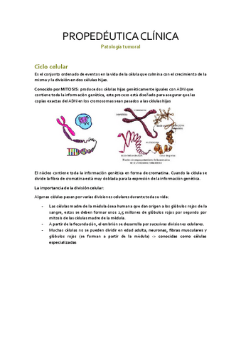 Patologia-tumoral.pdf