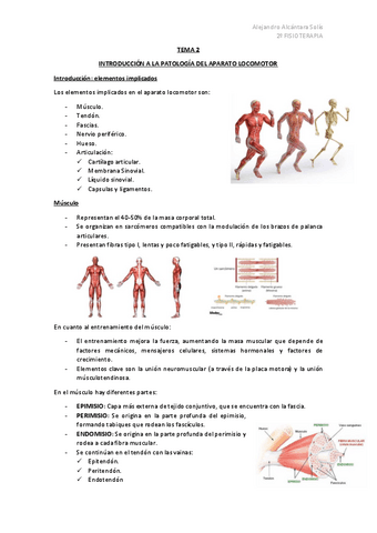 TEMA-2-AMQ.pdf