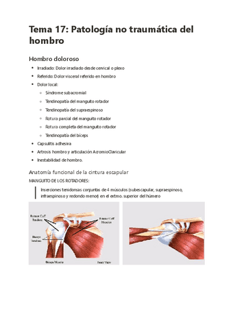 Tema-17-Patologia-no-traumatica-del-hombro.pdf