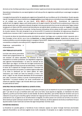 bio-t3-fotosintesi--ecologia.pdf