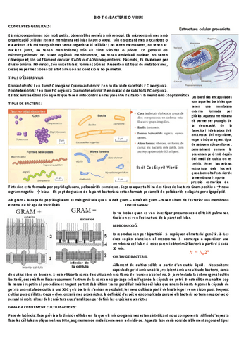 t6-bio-bacteris-o-virus.pdf