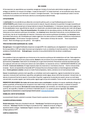 enzims.pdf