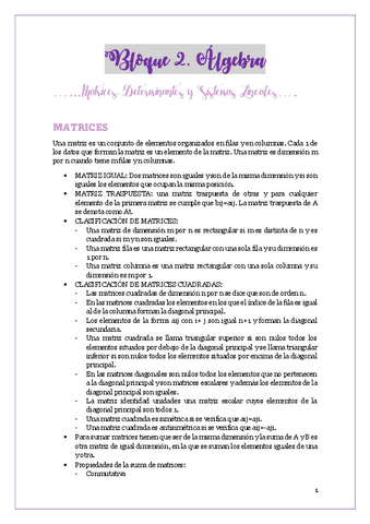 MATEMATICAS-ALGEBRA.pdf