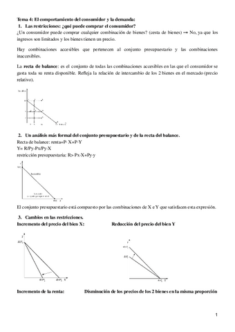 Tema-4-El-comportamiento-del-consumidor-y-la-demanda.pdf