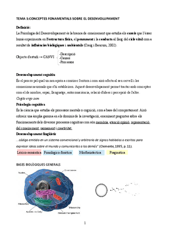 TEMA-1-DCLPI.pdf