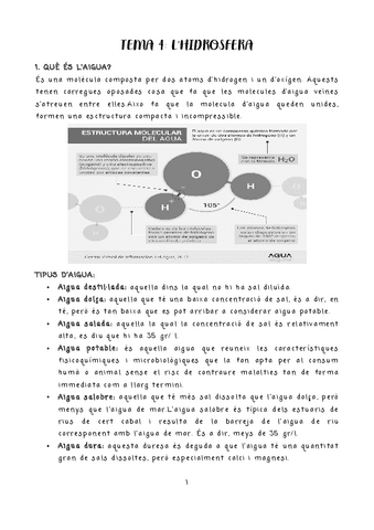 CONEIXEMENT-DEL-TEMA-4.pdf