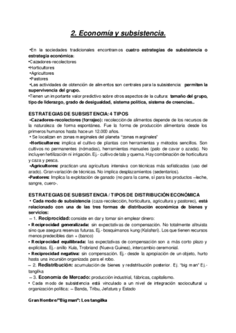 T2.-ECONOMIA-Y-SUBSISTENCIA.pdf