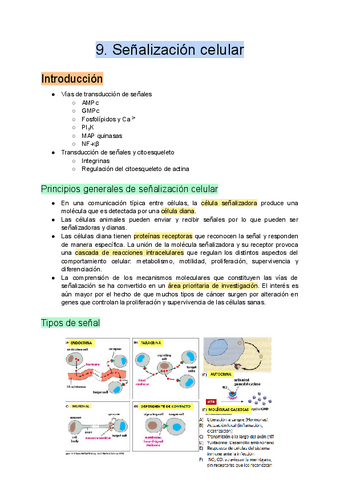 9.-Senalizacion-celular.pdf
