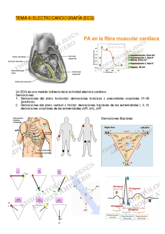 ECG-escrito.pdf