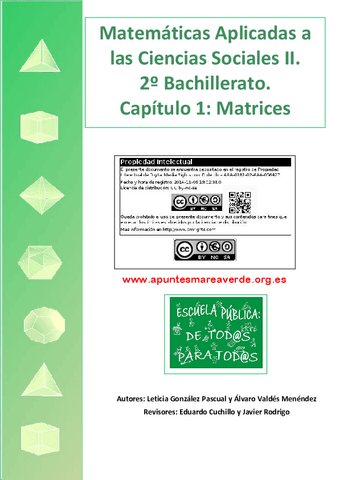 Matrices.pdf