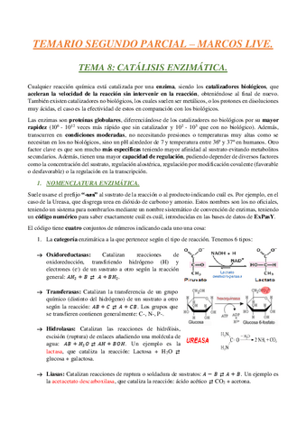 Temario-segundo-parcial.pdf