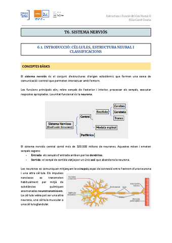T6.-Sistema-nervios.pdf