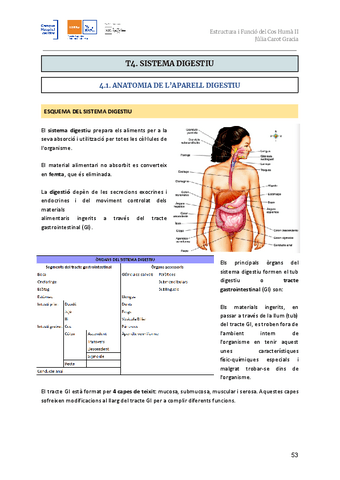 T4.-Sistema-digestiu.pdf