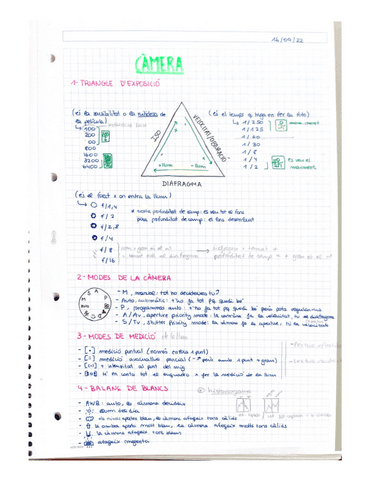 el-triangle-dexposicio.pdf