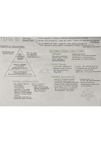 tema-10-esquema-resum.pdf