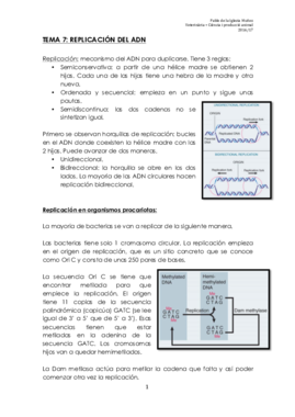 APUNTES BIOQUÍMICA (2ON PARCIAL).pdf