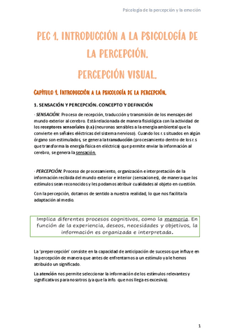 APUNTES-PEC-1-INTERPRETAR-EL-MUNDO-Y-PERCEPCION-VISUAL.pdf