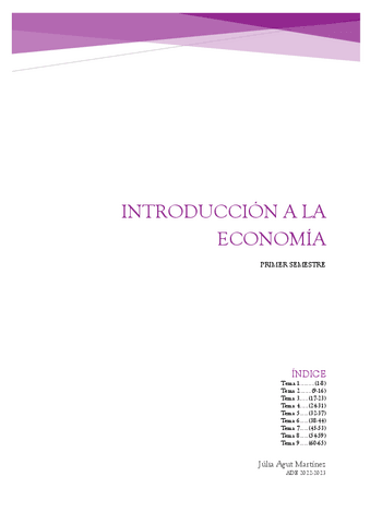 Apuntes primer semestre introducción a la economía.pdf