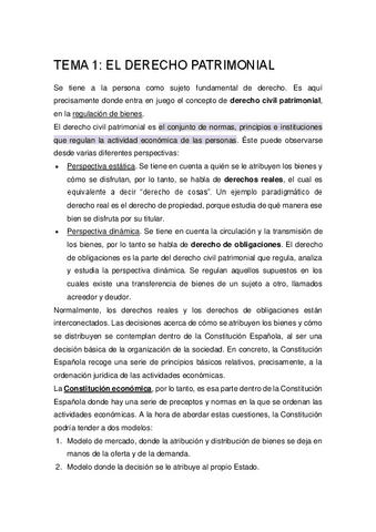 TEMA-1-Y-2.pdf
