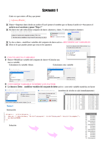 R-comander-para-sacar-un-10.pdf