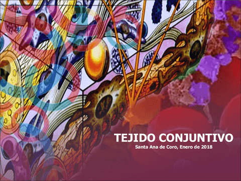 Tejido Conectivo (conjuntivo).pdf