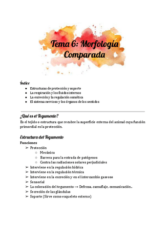Tema-6-Zoologia-1.pdf