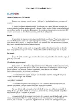 Tema 4[4.1]- Anatomía.pdf