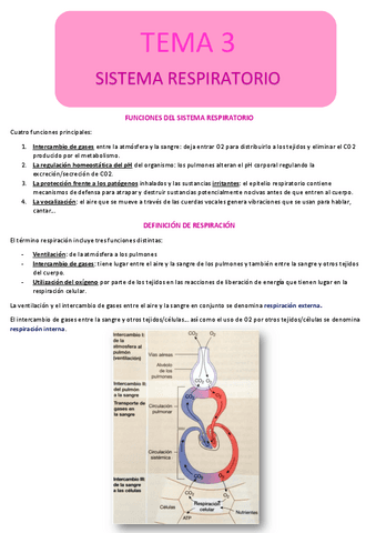 Tema-3.-RESPIRATORIO.pdf