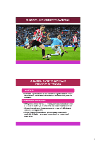 Tactica-Colec-Def.pdf