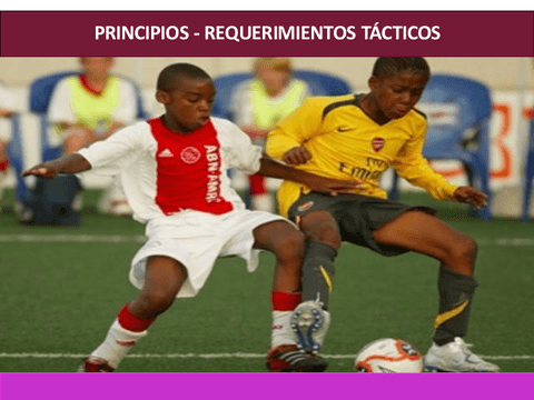 Tacticas-Colec-Ofen-1.pdf