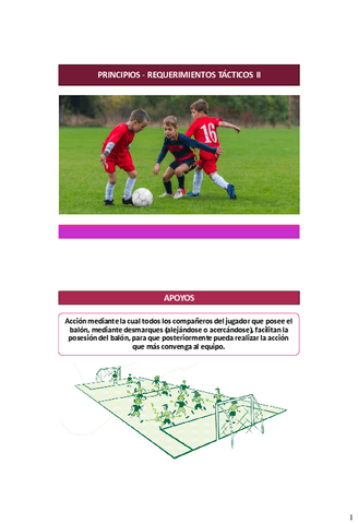 Tacticas-Colec-Ofen-2.pdf