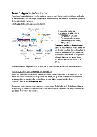Tema-1Agentes-infecciosos.pdf