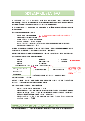 SISTEMA-GUSTATIVO.pdf