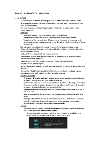 TEMA-10.pdf