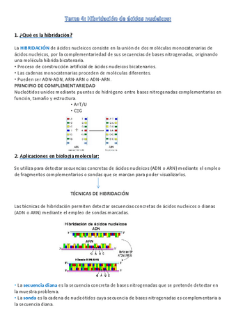 T4-Hibridacion-de-los-acidos-nucleicos.pdf