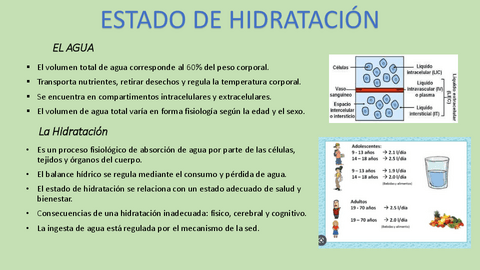 ESTADO-DE-HIDRATACION.pdf