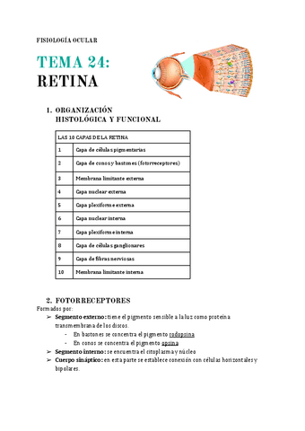 T.24-Retina.pdf