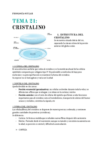 T.21-Cristalino.pdf