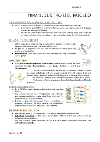 Dentro del núcleo.pdf