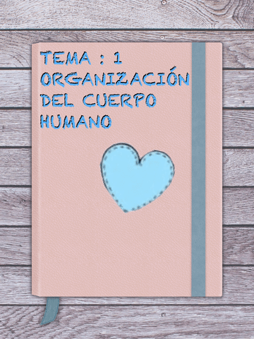 Tema-1-Organizacion-del-cuerpo-humano-.pdf