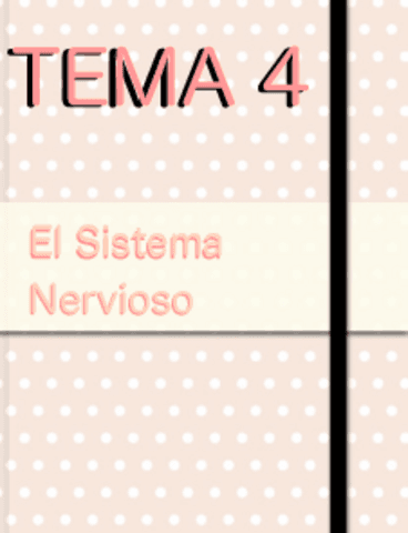 Tema-4-El-Sistema-Nervioso.pdf