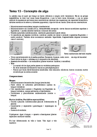 DFA-T11-Concepto-de-alga.pdf