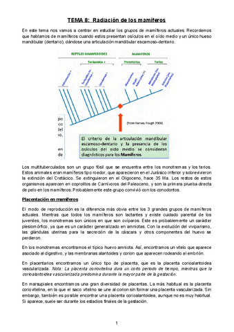 Tema-8-Radiacion-de-los-mamiferos.docx.pdf