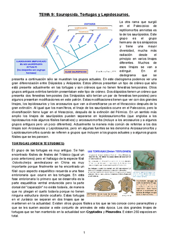 TEMA-9-Sauropsida-tortugas-y-lepidosaurios.docx.pdf